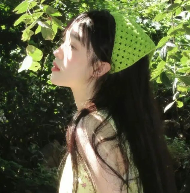 月之阴面
